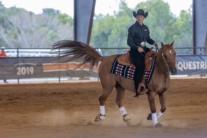 Olivia Marino of Auburn Equestrian